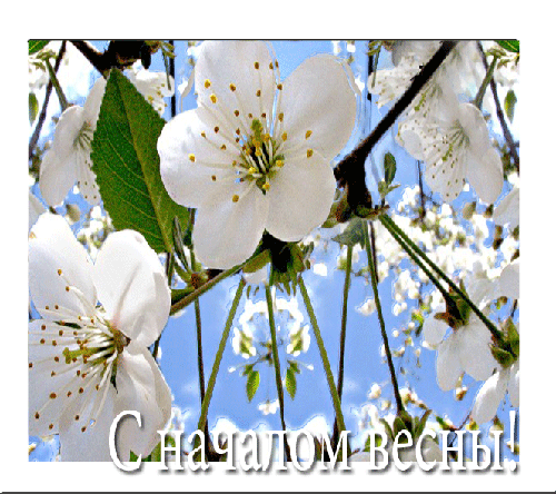 С началом весны~Картинки весна