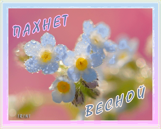 Пахнет весной~Картинки весна