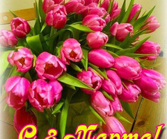 Букет тюльпанов в день 8 Марта