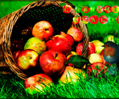 С прекрасным праздником яблочного спаса