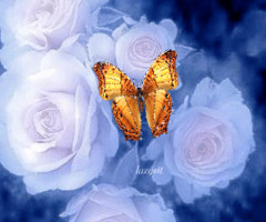 Нежные розы с бабочкой