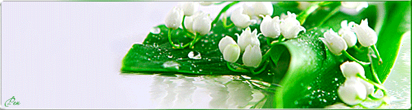 Ландыш майский~Открытки с цветами
