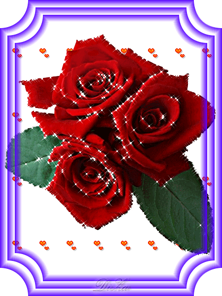 Красные душистые розы. Открытки с цветами