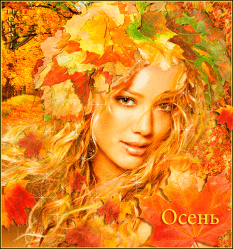 Оранжевая осень - Осень картинки,поздравления, картинки, открытки, анимация