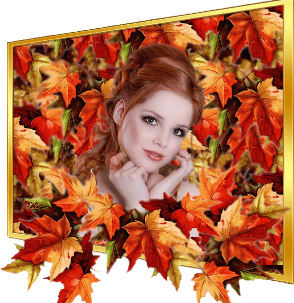 Красивая осень~Осень картинки