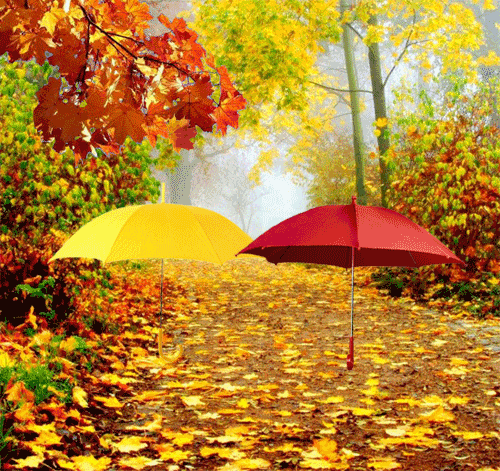 Прикольная картинка про осень - Осень картинки,поздравления, картинки, открытки, анимация