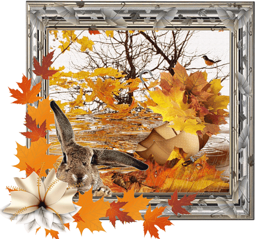 Картинка Осень~Осень картинки