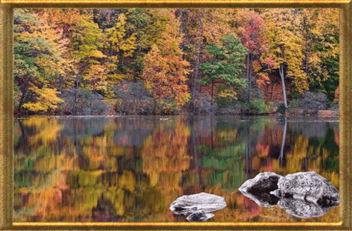 Отражение осени~Осень картинки