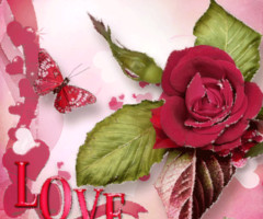 Валентинка с розой