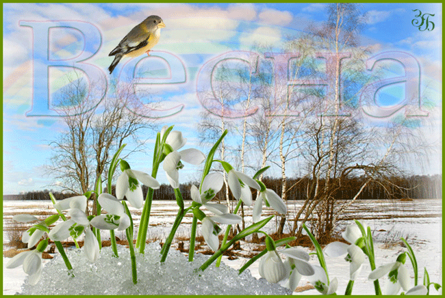 Весна - Картинки весна,поздравления, картинки, открытки, анимация