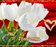Белые тюльпаны 8 марта