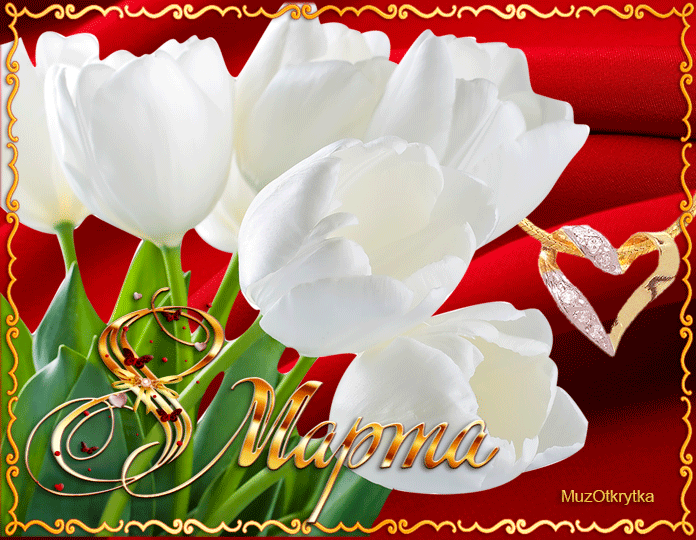 Белые тюльпаны 8 марта - Открытки с 8 Марта,поздравления, картинки, открытки, анимация