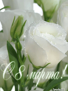 Белые розы к 8 марта - Открытки с 8 Марта,поздравления, картинки, открытки, анимация