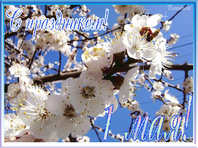 С Праздником 1 Мая! - 1 Мая День весны и труда,поздравления, картинки, открытки, анимация