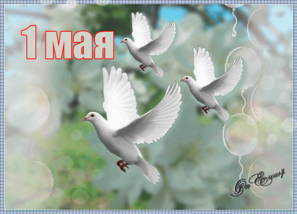 Открытки к 1 мая с голубями - 1 Мая День весны и труда,поздравления, картинки, открытки, анимация