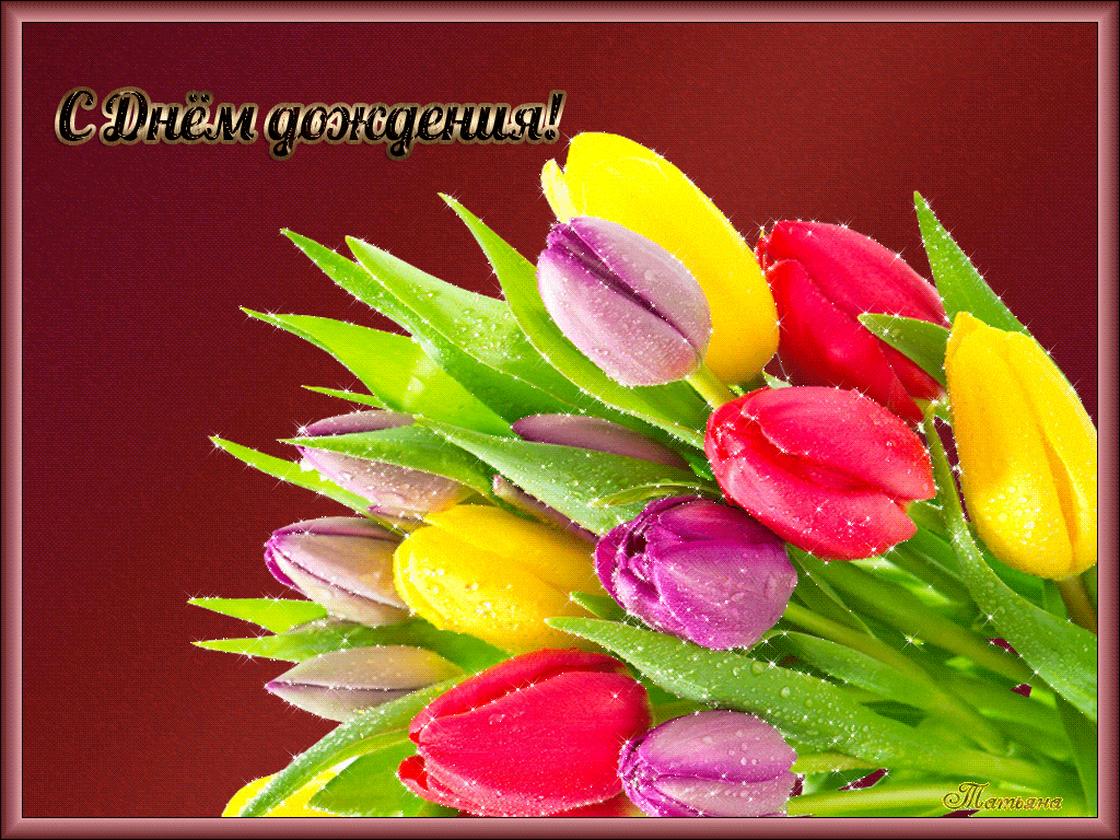 Тюльпаны - С Днем Рождения открытки,поздравления, картинки, открытки, анимация