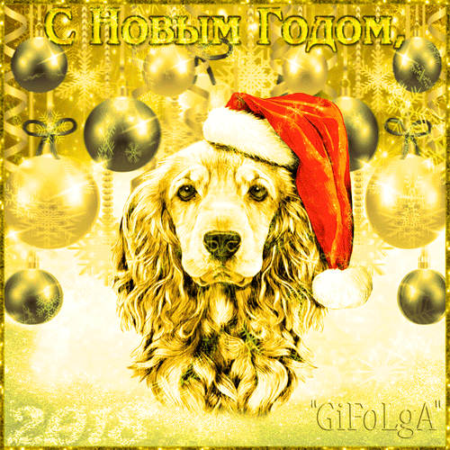 С новым годом золотая открытка с собакой - Открытки с Новым годом 2024,поздравления, картинки, открытки, анимация