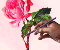 Карандашный рисунок розы