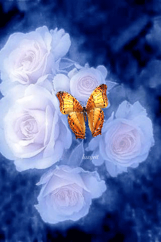 Нежные розы с бабочкой - Открытки с цветами,поздравления, картинки, открытки, анимация