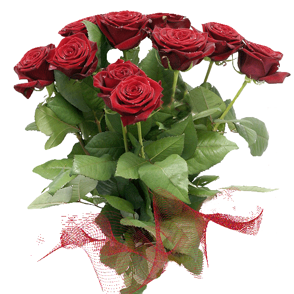 Настоящие розы - Открытки с цветами,поздравления, картинки, открытки, анимация