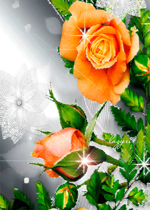 Персиковые розы - Открытки с цветами,поздравления, картинки, открытки, анимация