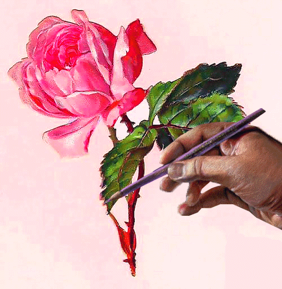 Карандашный рисунок розы - Открытки с цветами,поздравления, картинки, открытки, анимация
