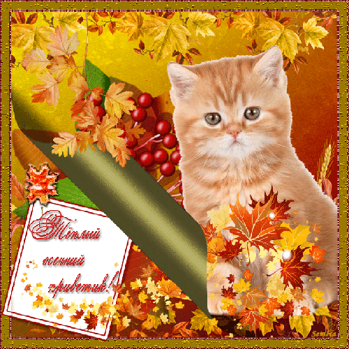 Осенний приветик - Осень картинки,поздравления, картинки, открытки, анимация