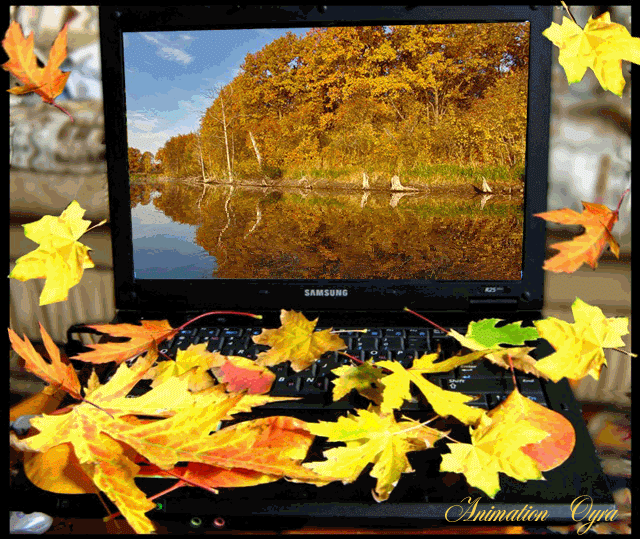 Картинки осени - Осень картинки,поздравления, картинки, открытки, анимация