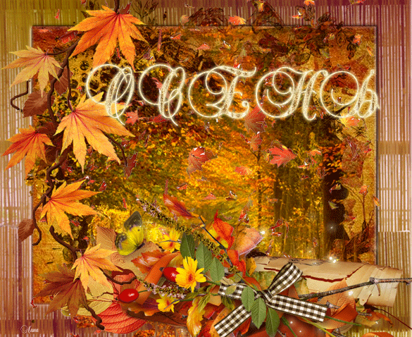 Листопад осенью - Осень картинки,поздравления, картинки, открытки, анимация