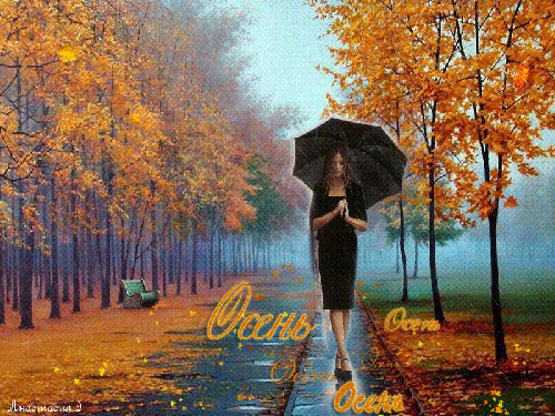 Осенний моросящий дождь - Осень картинки,поздравления, картинки, открытки, анимация