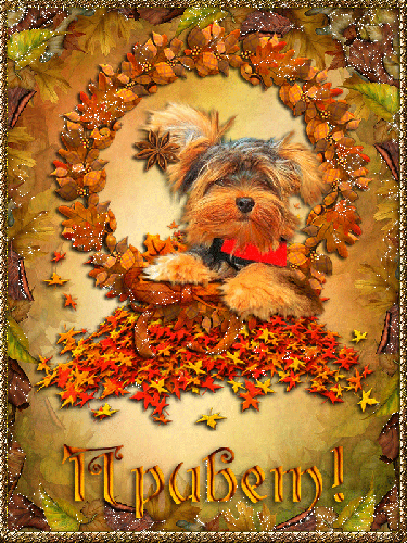 Осенняя картинка с приветом - Осень картинки,поздравления, картинки, открытки, анимация