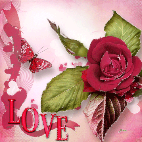 Валентинка с розой - Открытки с днём влюблённых 14 февраля,поздравления, картинки, открытки, анимация