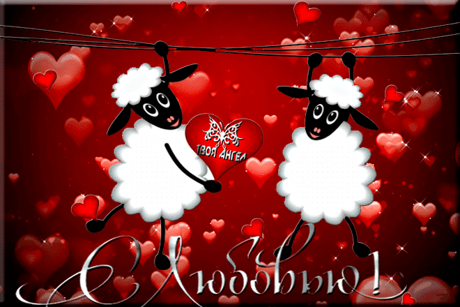 Овечки с сердечками - Открытки с днём влюблённых 14 февраля,поздравления, картинки, открытки, анимация
